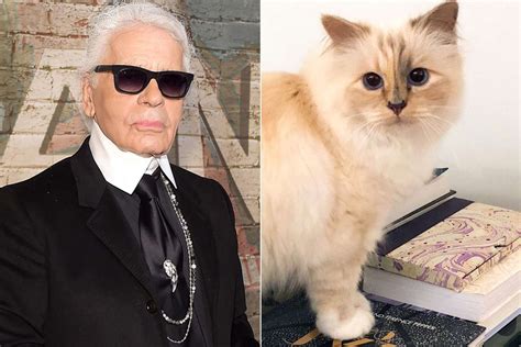 what happened to karl lagerfeld's cat